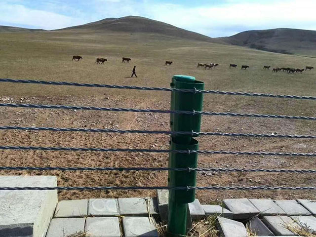 石家莊河道繩索護(hù)欄常用規(guī)范